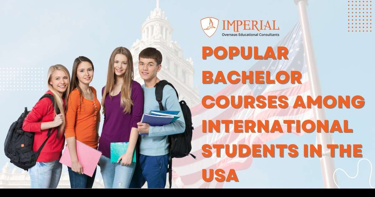 7 Popular Bachelor Courses Among International Students in the USA